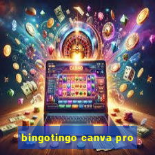 bingotingo canva pro