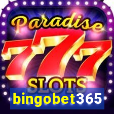 bingobet365