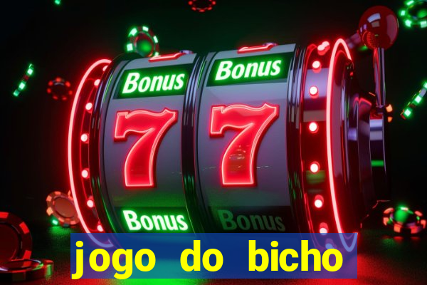 jogo do bicho crash bingo